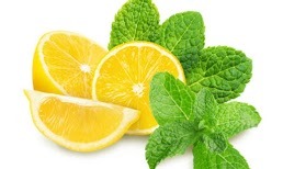 cardio slim tea
